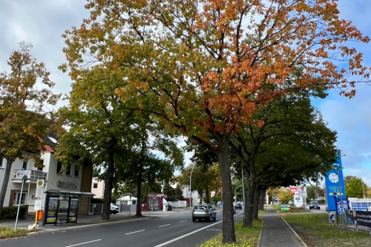 Berlin im Herbst